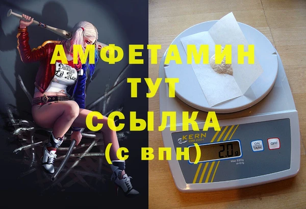 молекула духа Волоколамск