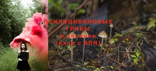 молекула духа Волоколамск