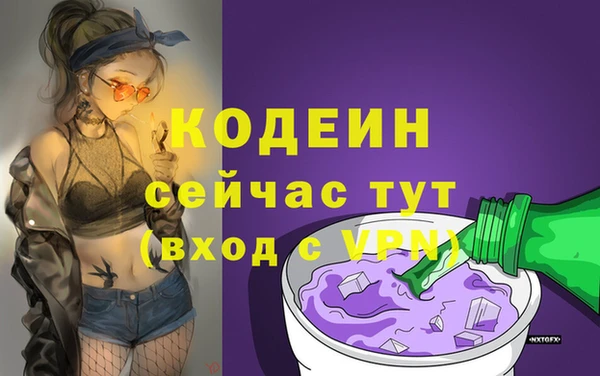 молекула духа Волоколамск